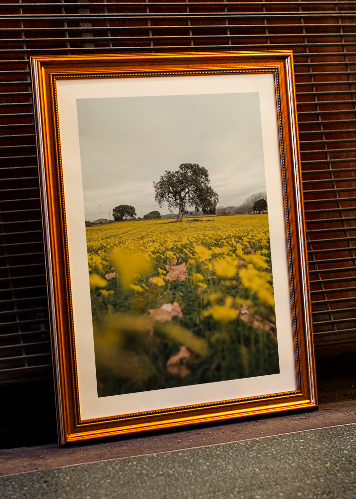 Quiet nature with a thousand f