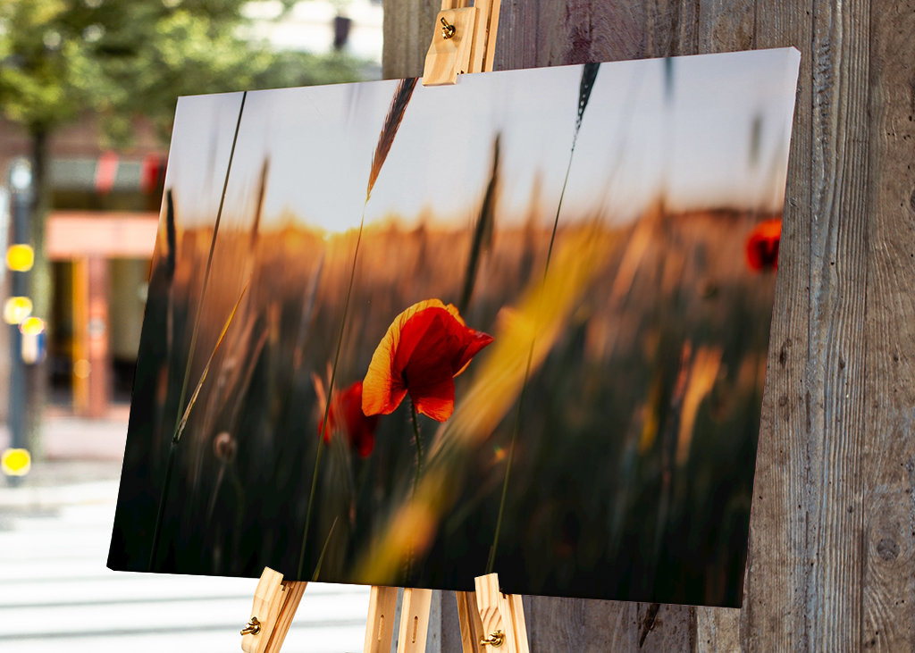 Mohnblumen im Kornfeld – No. 1