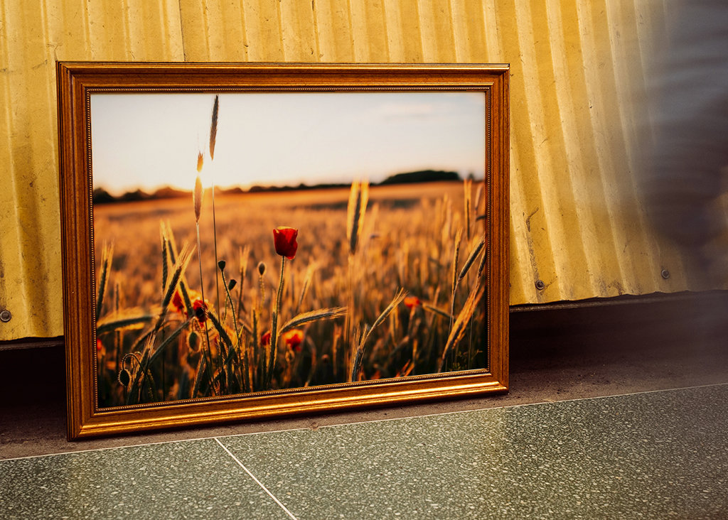 Mohnblumen im Kornfeld – No. 3