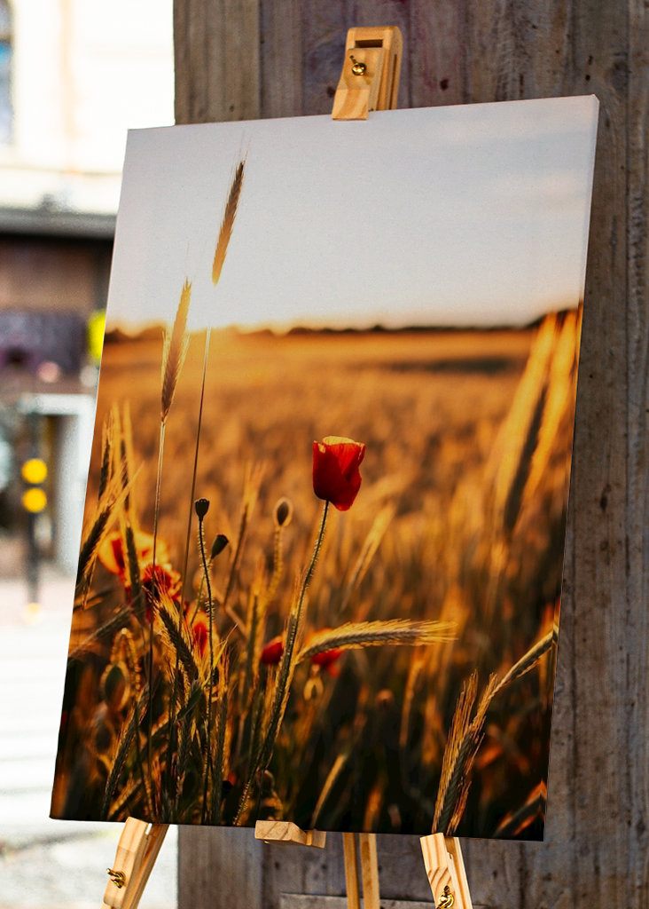 Papaveri nel campo di grano – n. 4