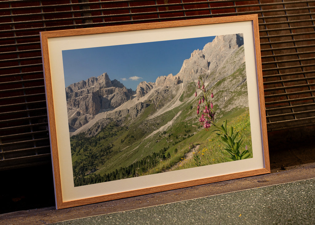 Puez-Geisler csoport