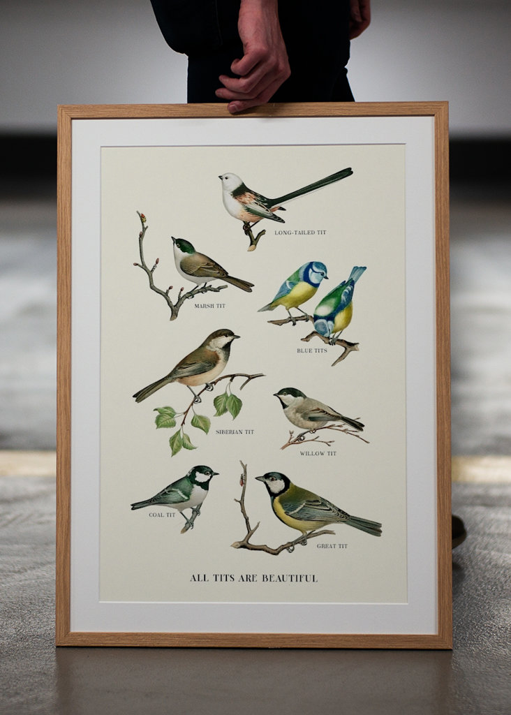 All Tits Are Beautiful