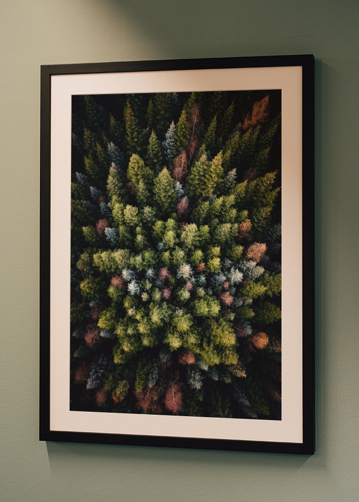 Farverige trætoppe ovenfra