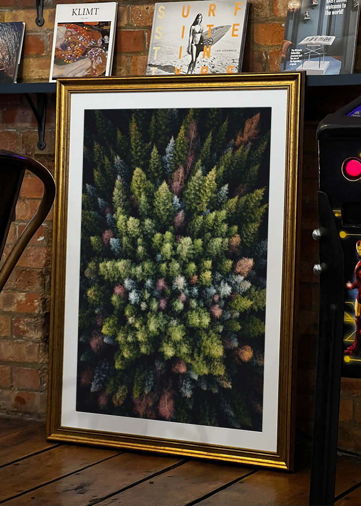 Farverige trætoppe ovenfra