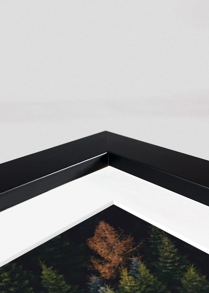 Farverige trætoppe ovenfra