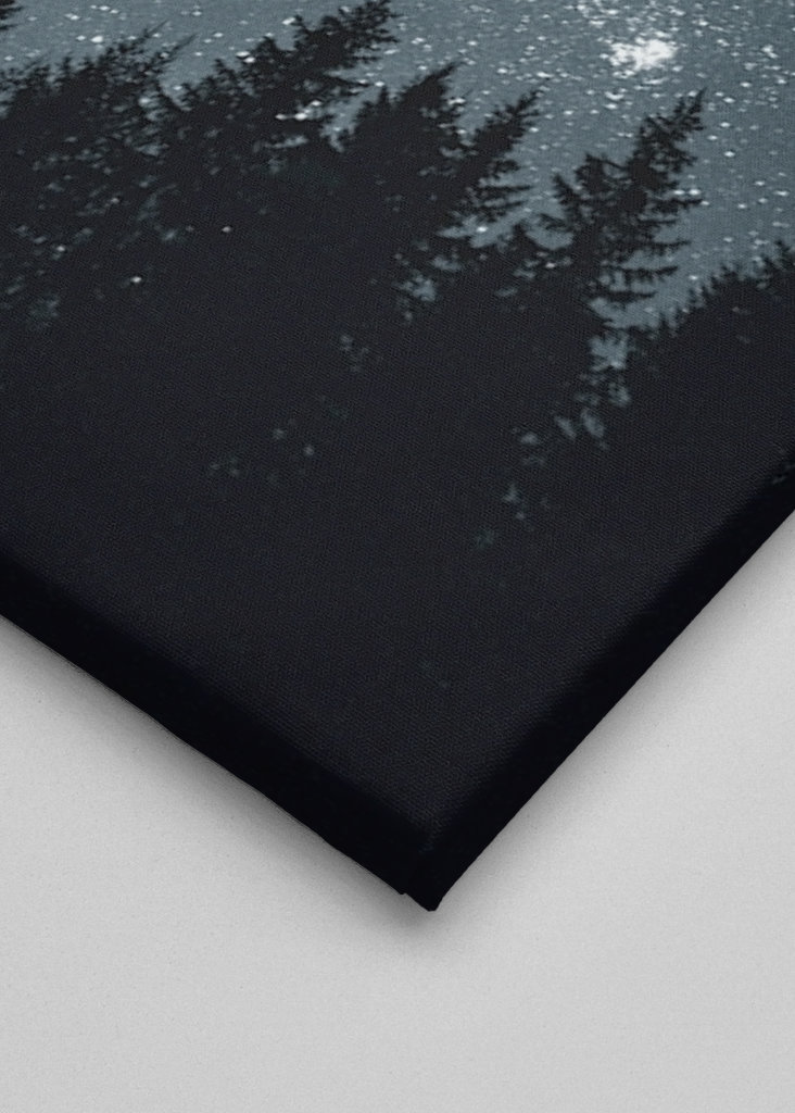 Sternenhimmel über dem Wald