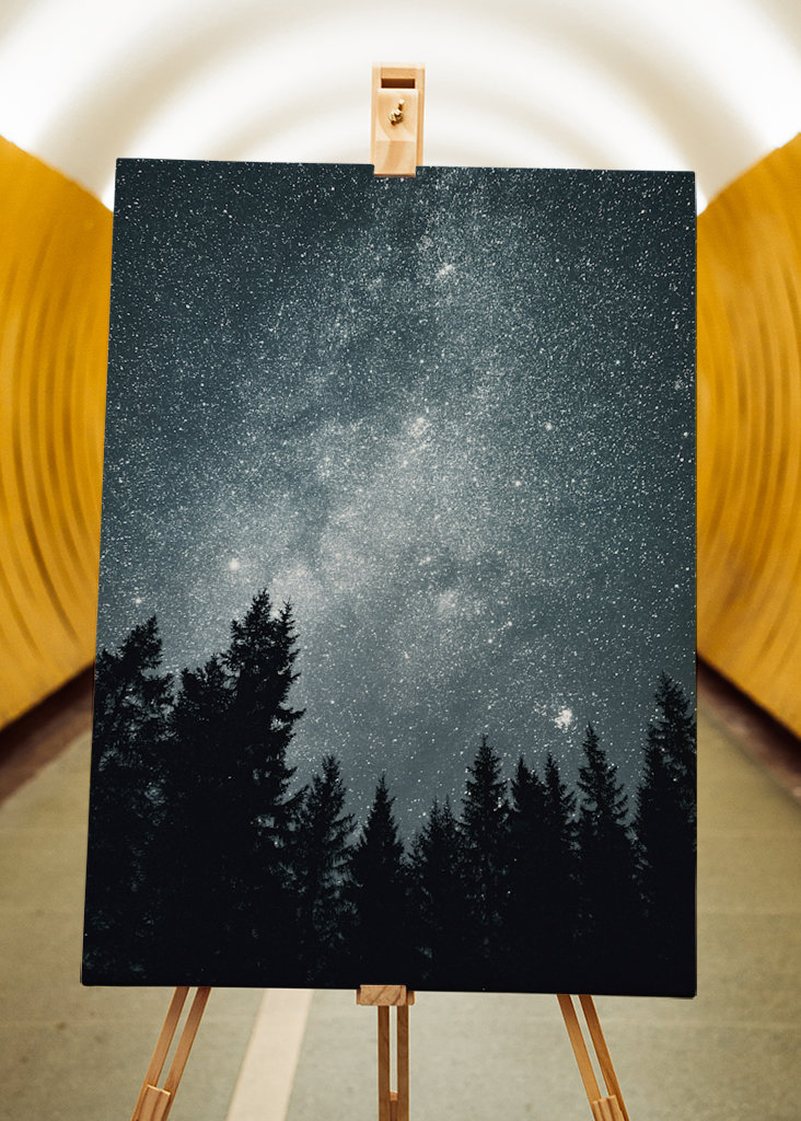 Sternenhimmel über dem Wald