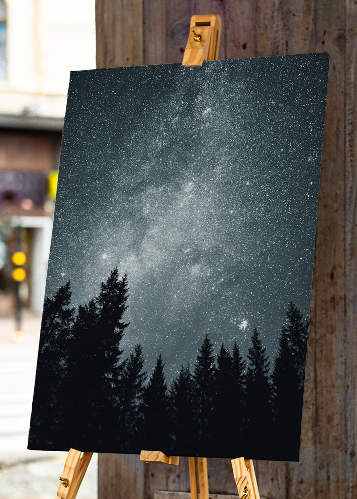 Sternenhimmel über dem Wald