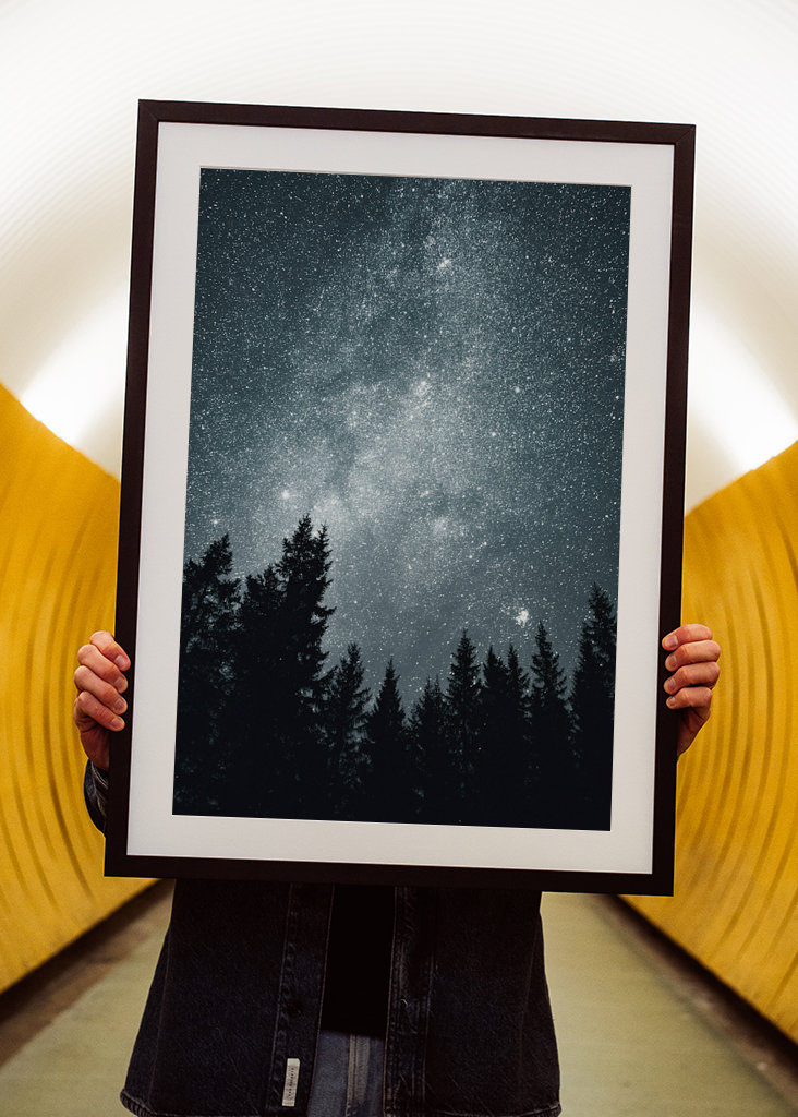 Sternenhimmel über dem Wald