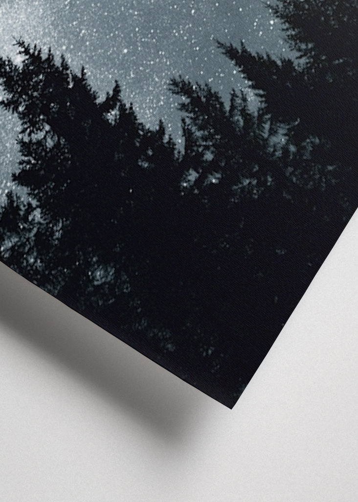 Sternenhimmel über dem Wald