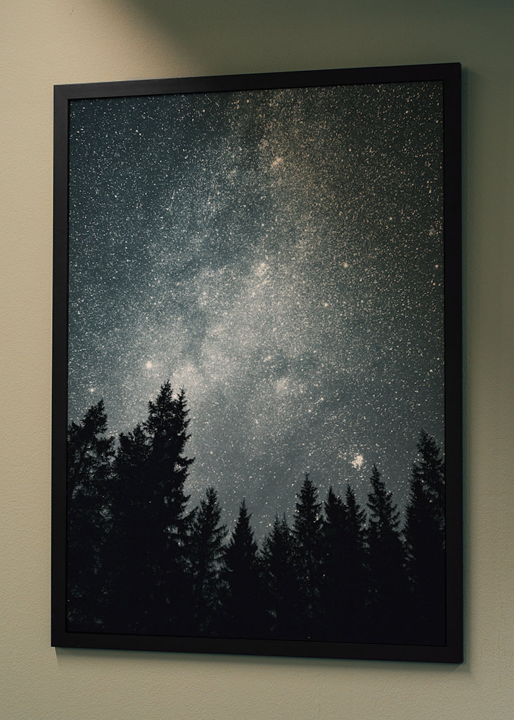 Sternenhimmel über dem Wald