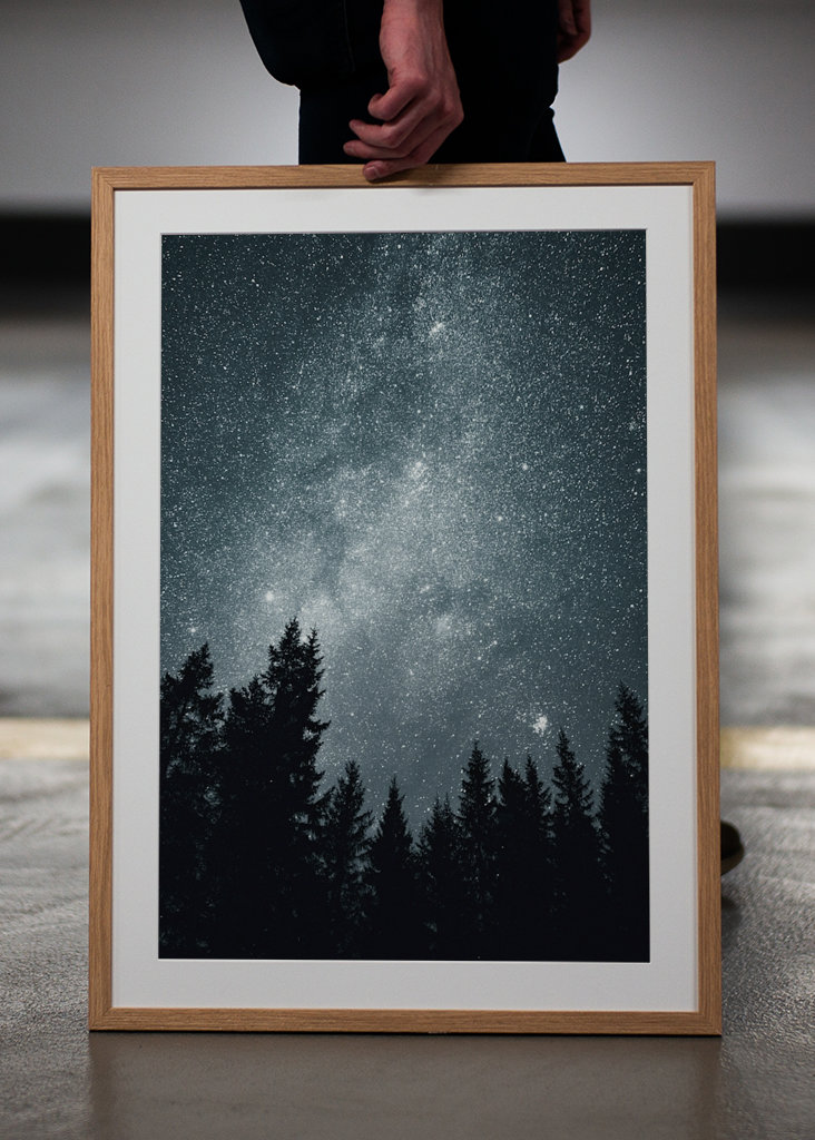 Sternenhimmel über dem Wald