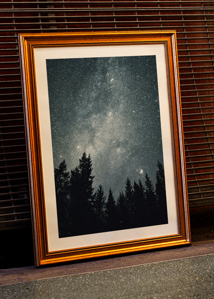 Sternenhimmel über dem Wald