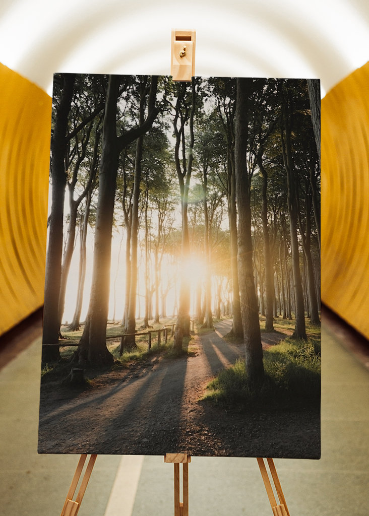 Sunrise in the forest 