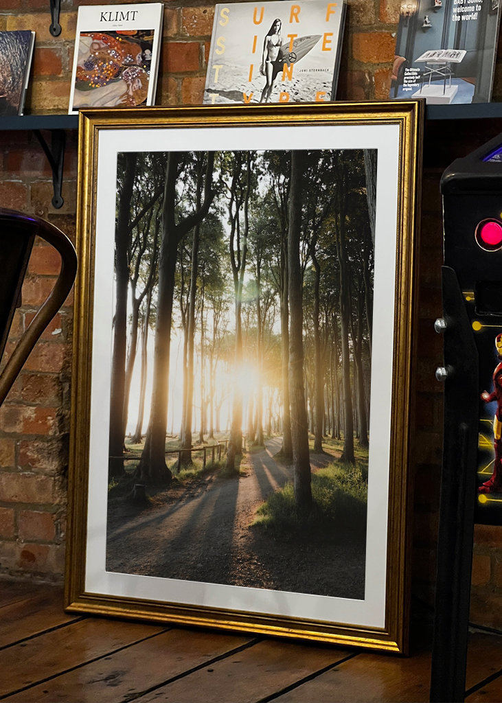 Sunrise in the forest 