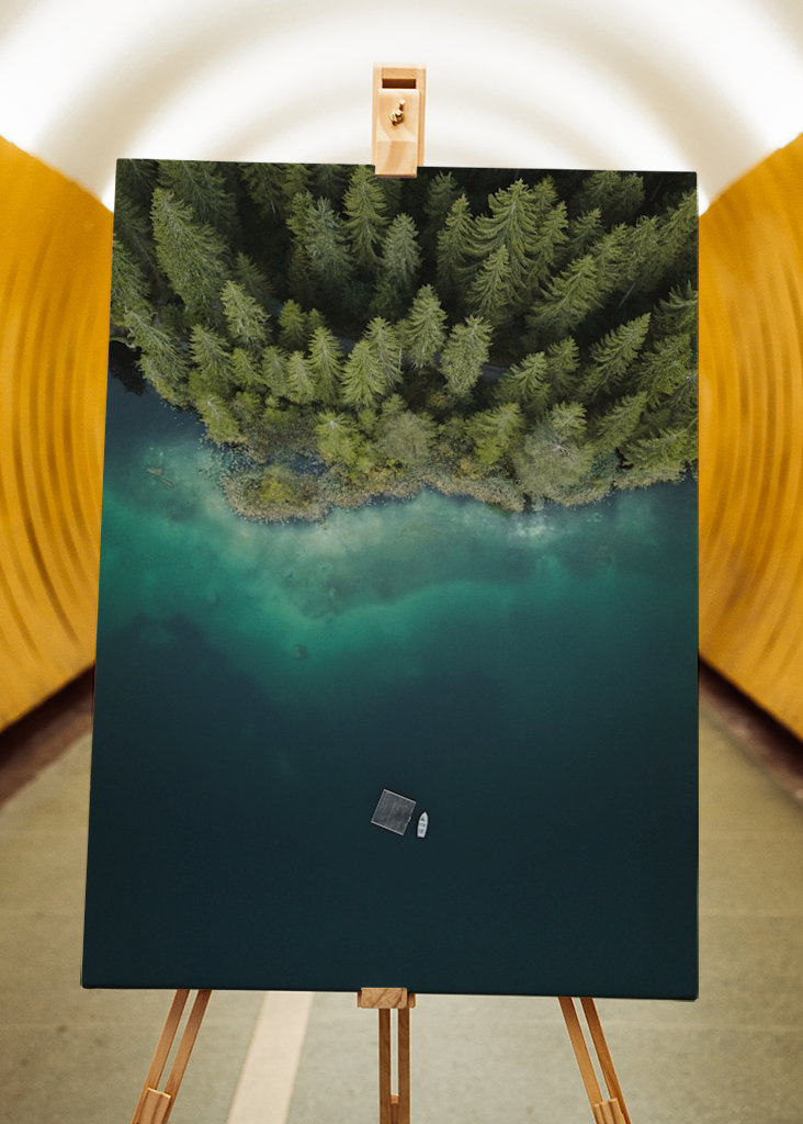 Wald am See von oben