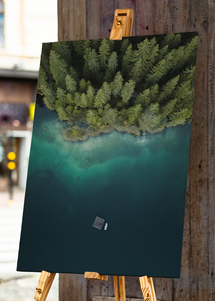 Wald am See von oben