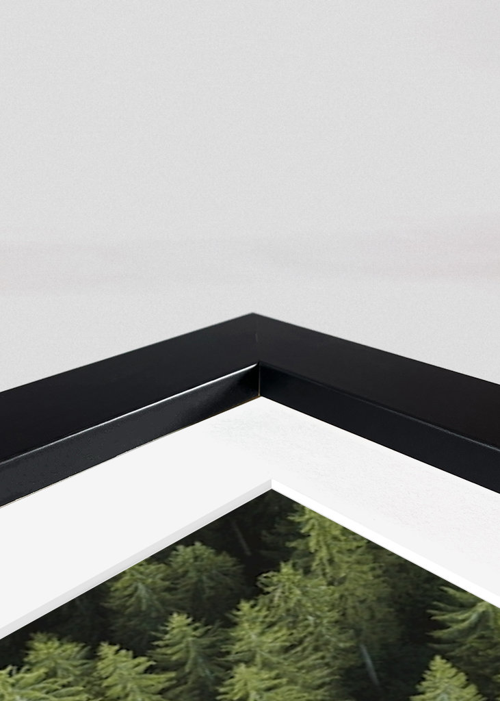 Wald am See von oben