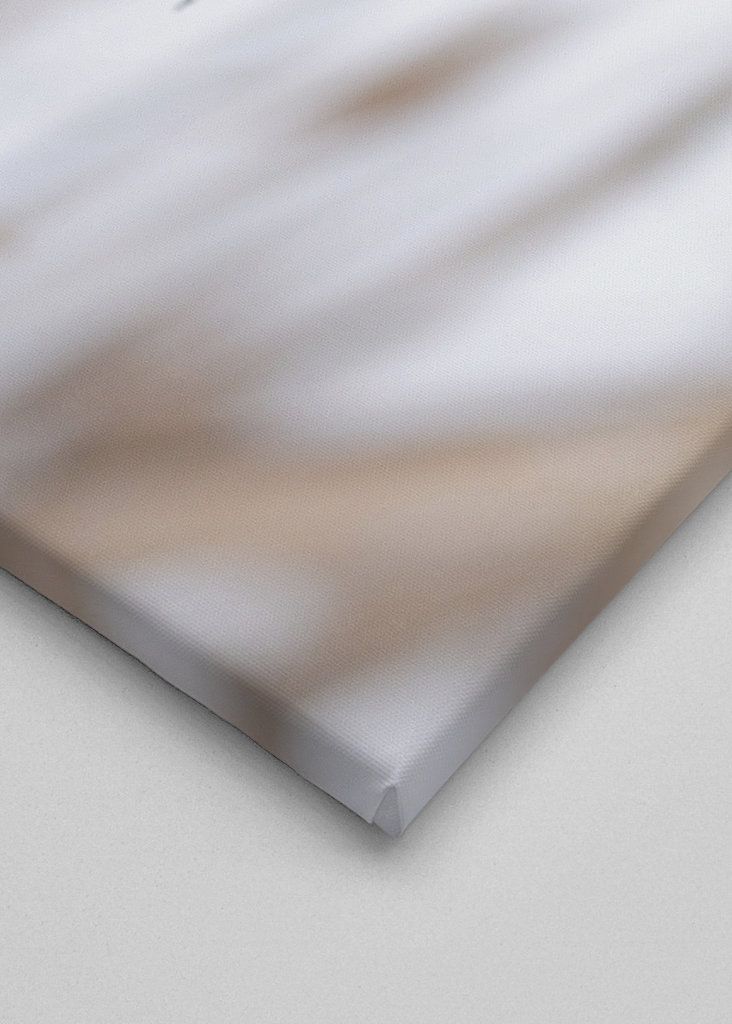 Herbe de la pampa au lac gelé 