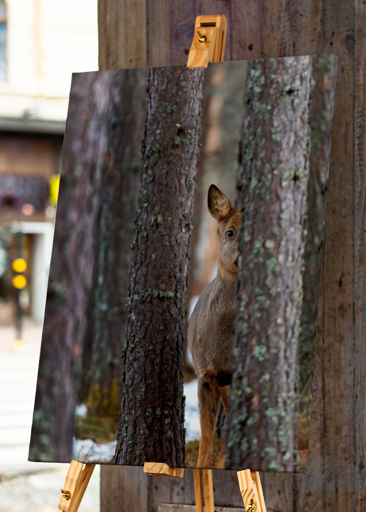 See without being called