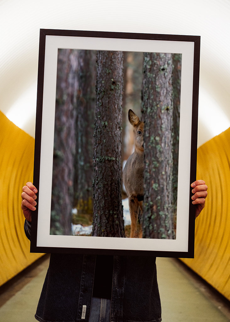 See without being called