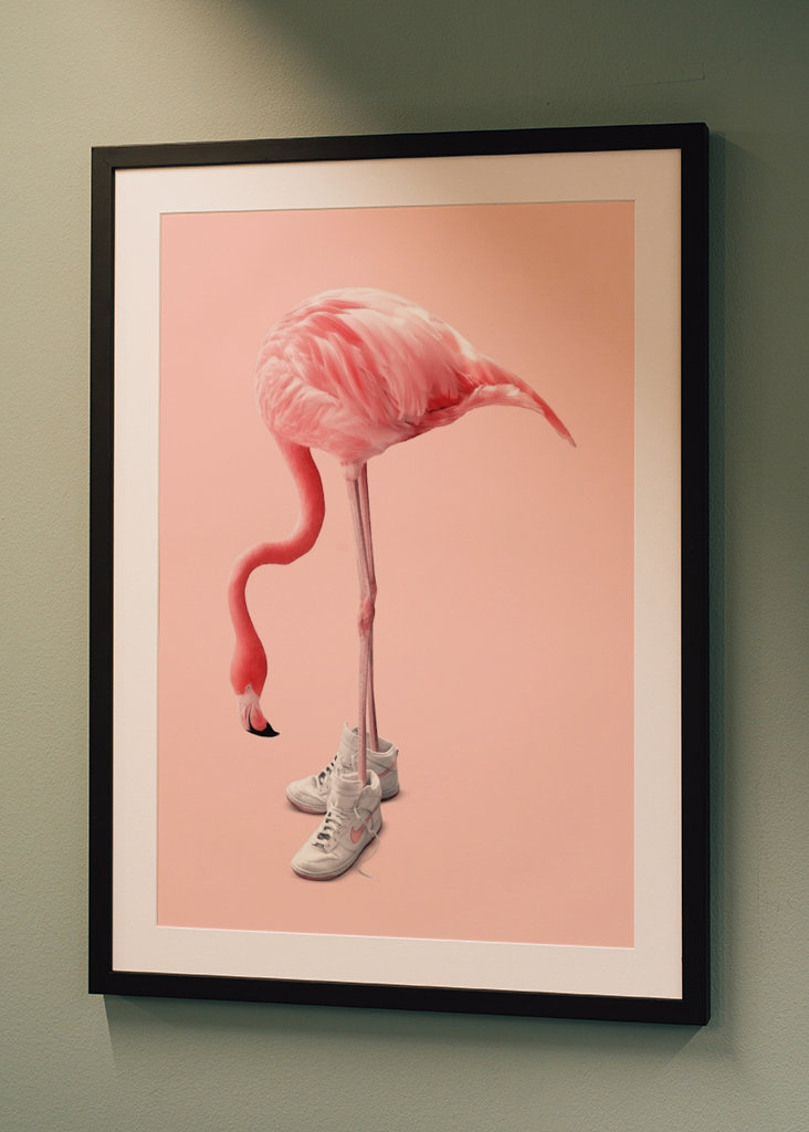 Sneaker Flamingo