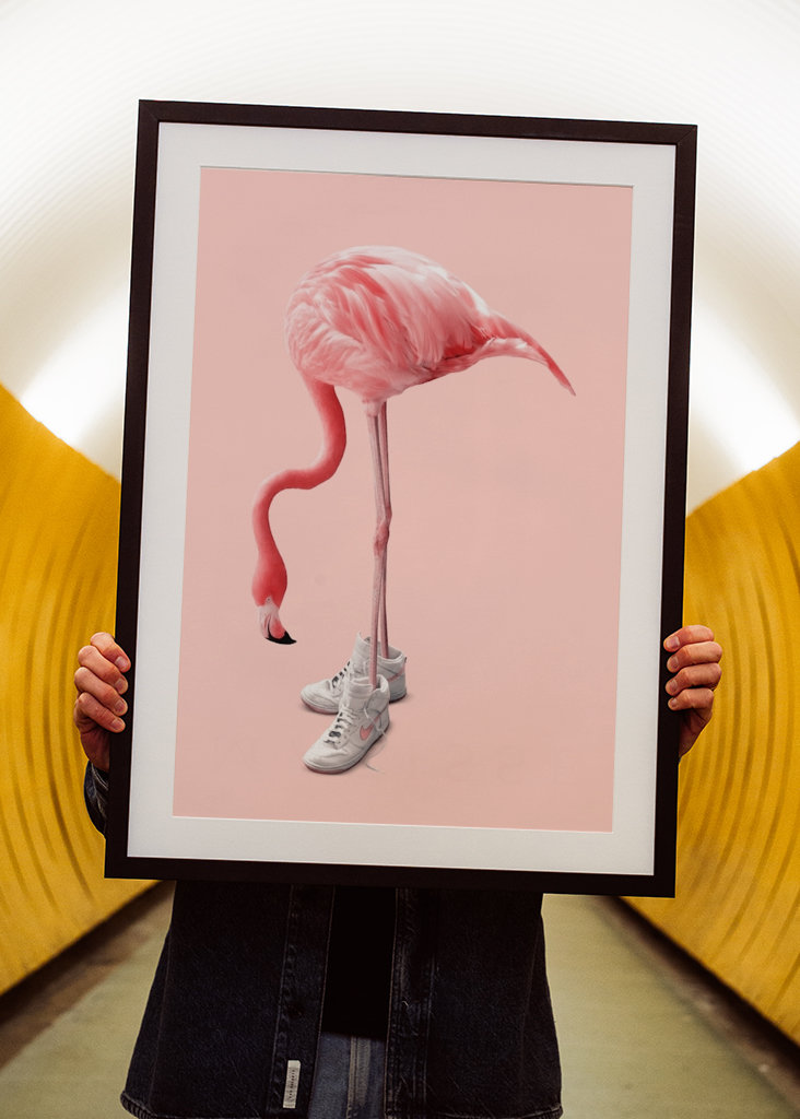 Sneaker Flamingo