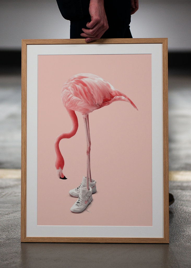 Sneaker Flamingo