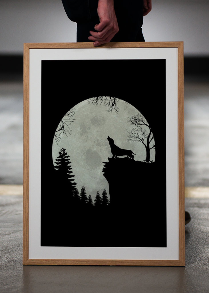 Jezevčík za úplňku