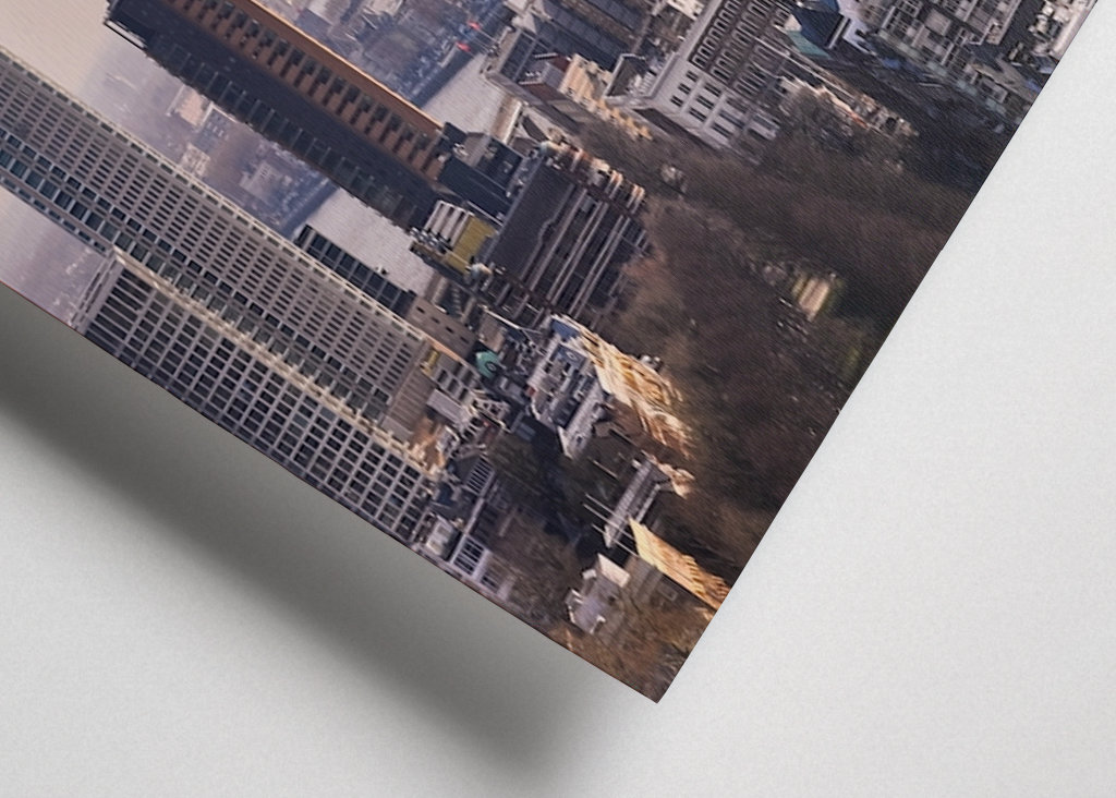 Ponte Erasmus di Rotterdam