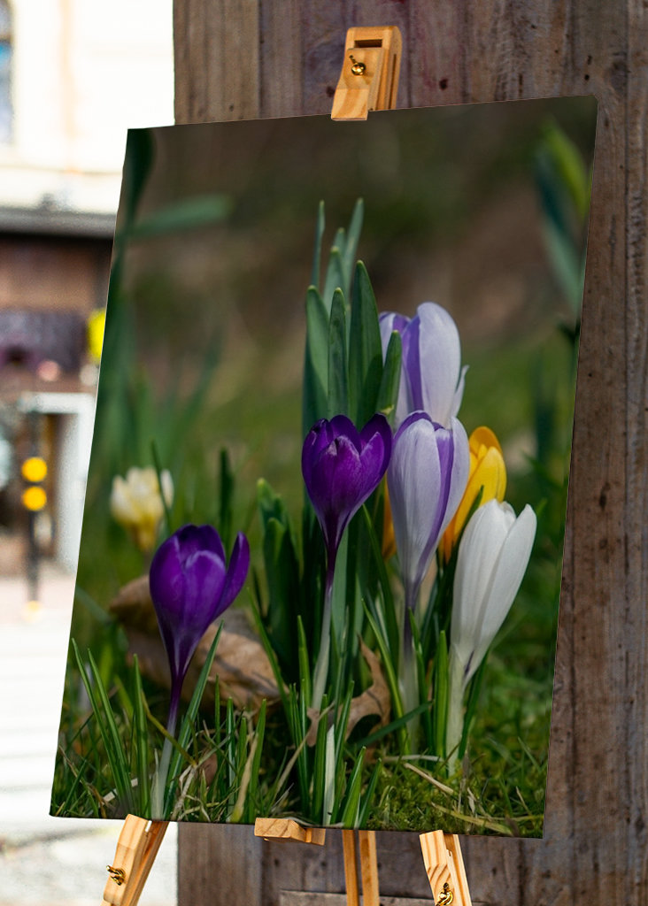 Die Frühlingssaison steht vor der Tür