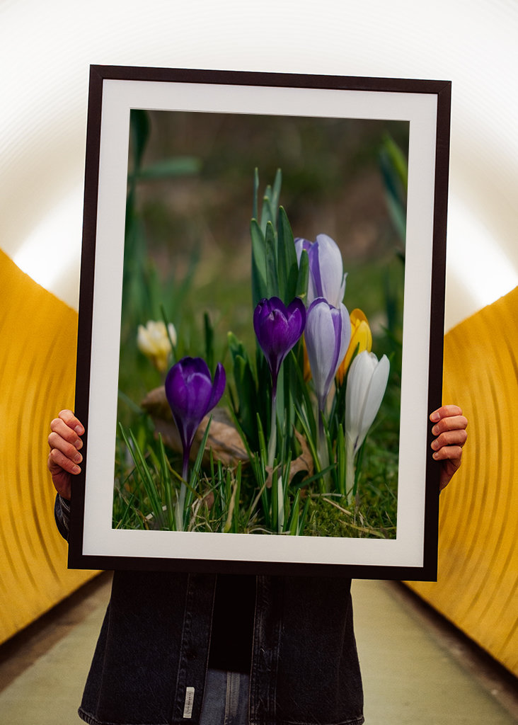 Die Frühlingssaison steht vor der Tür