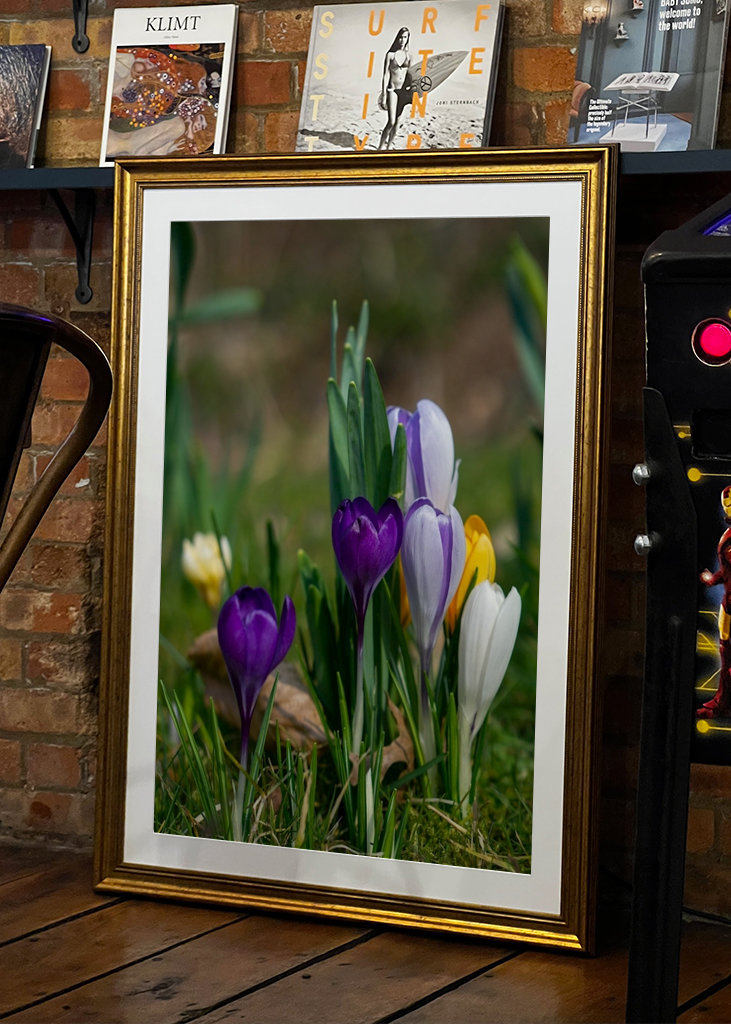 Die Frühlingssaison steht vor der Tür