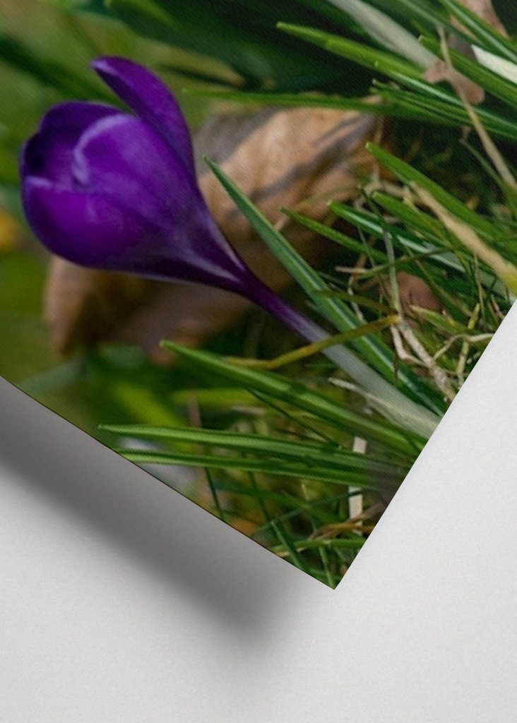 Die Frühlingssaison steht vor der Tür