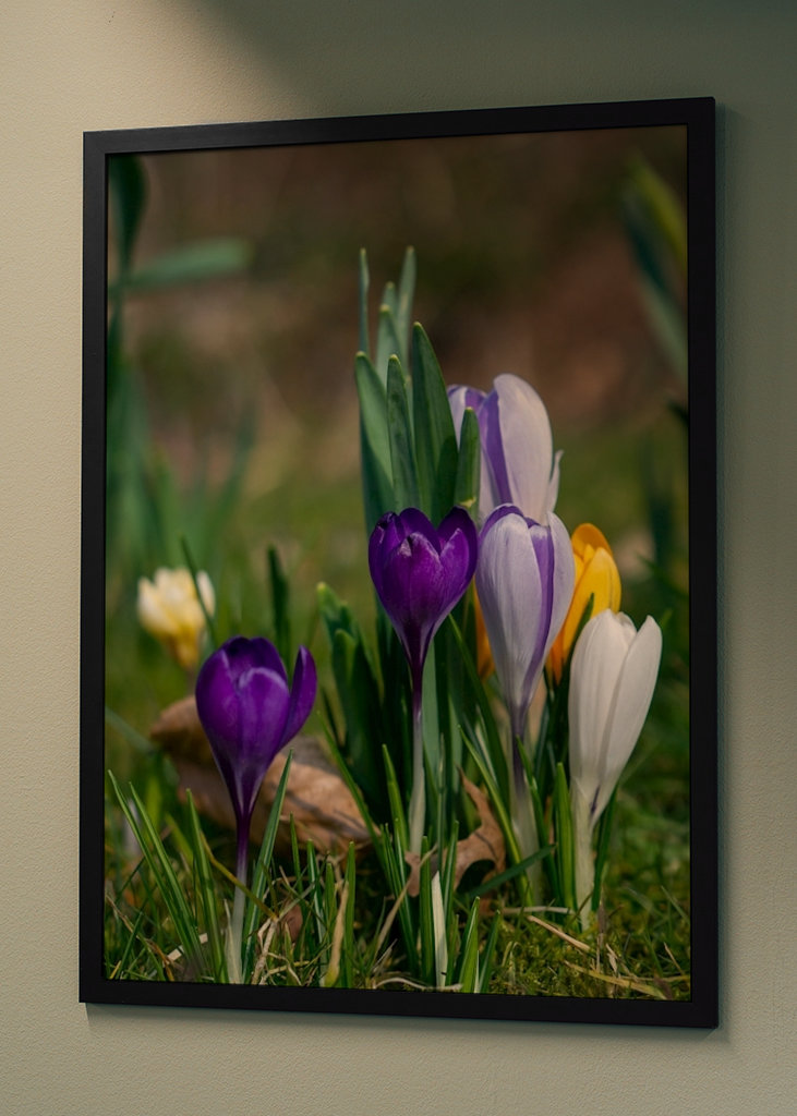 Die Frühlingssaison steht vor der Tür