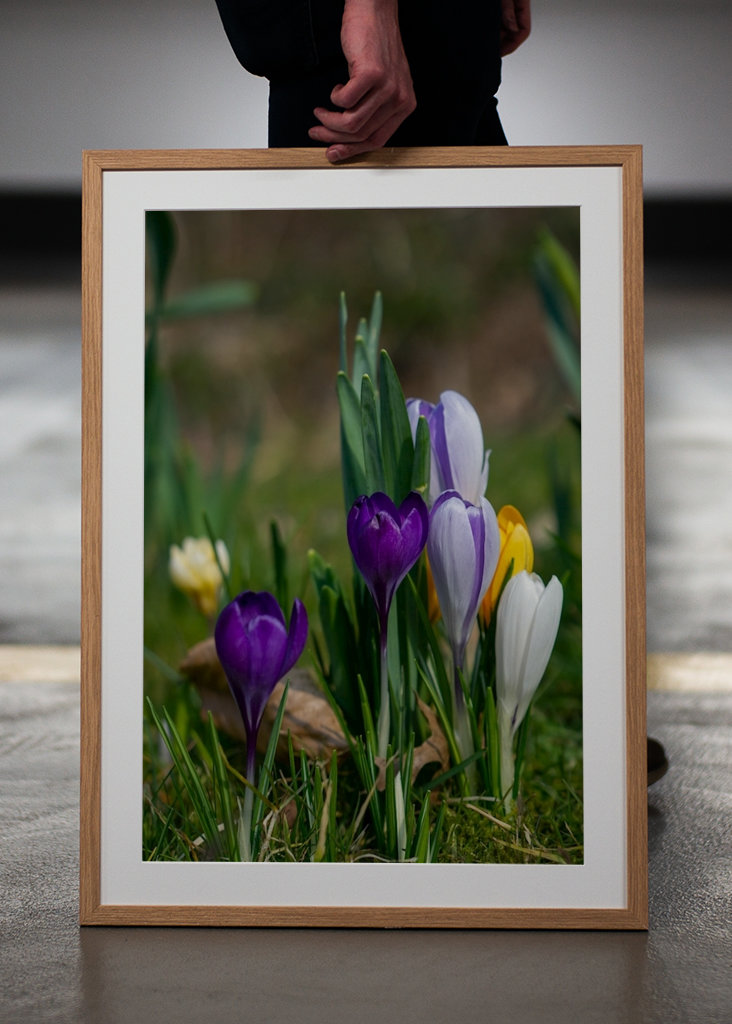 Die Frühlingssaison steht vor der Tür