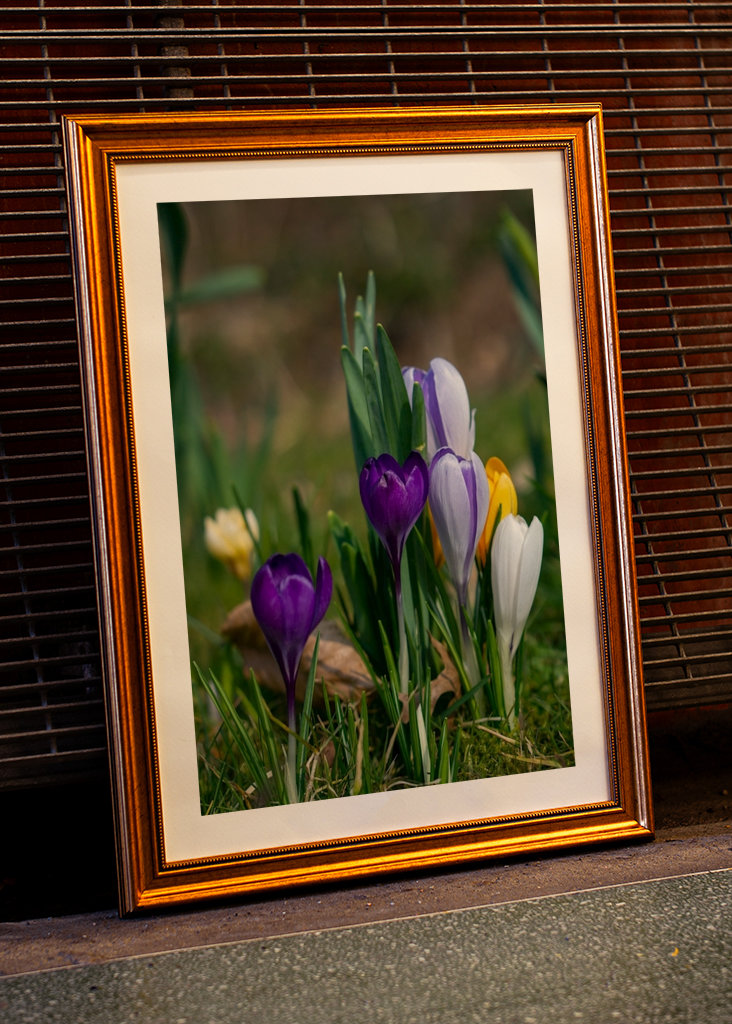 Die Frühlingssaison steht vor der Tür
