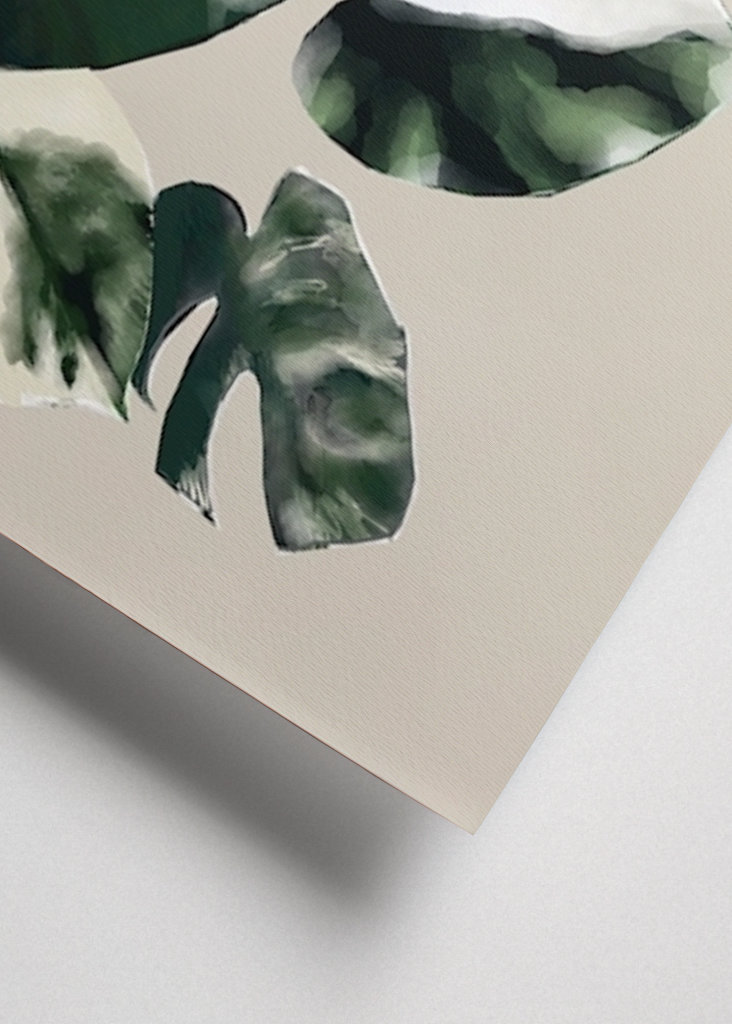 Zweifarbige Monstera