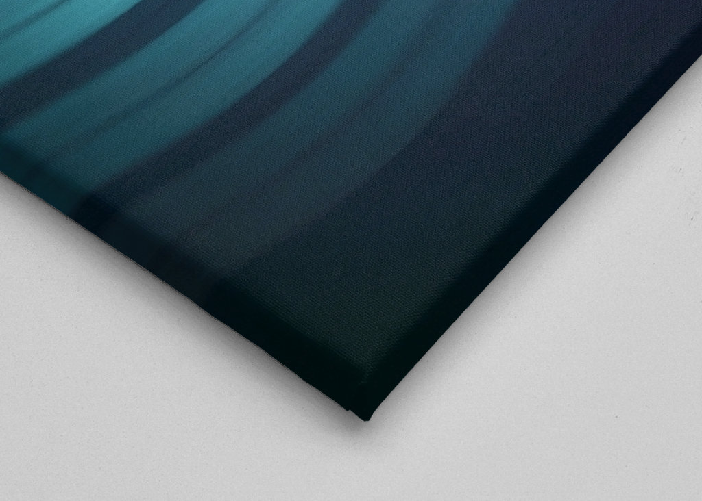 Il Pesce Pipistrello