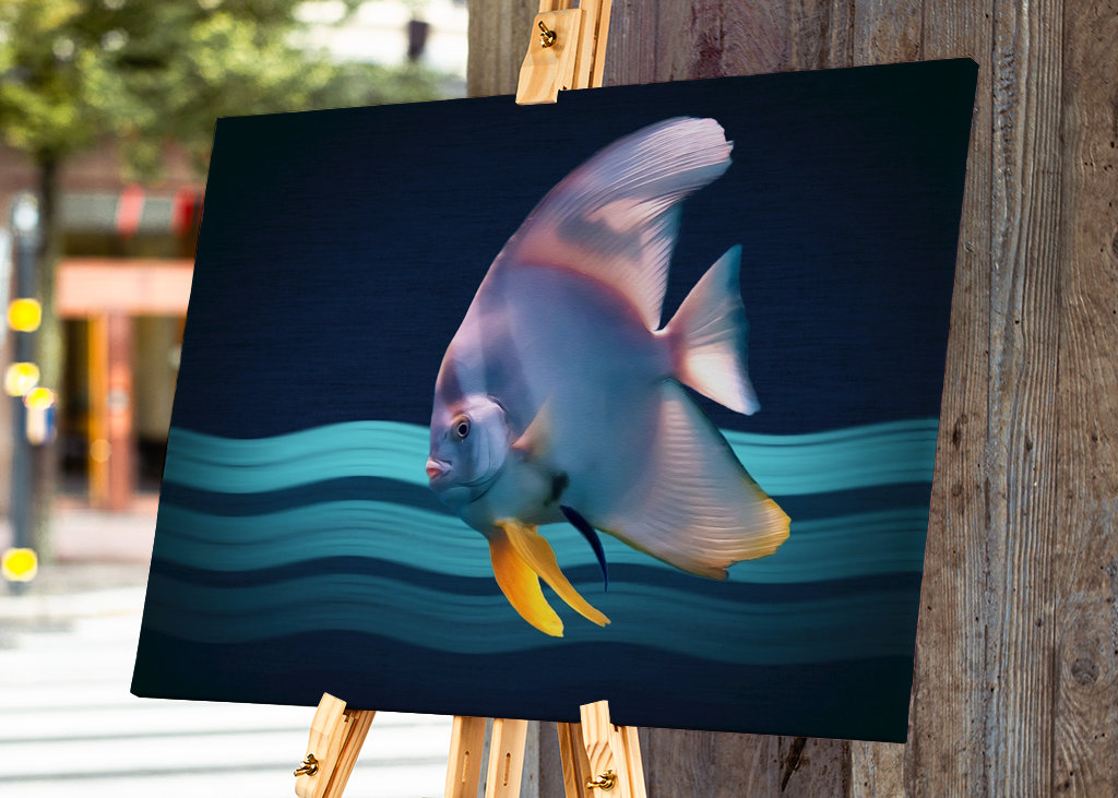 Il Pesce Pipistrello