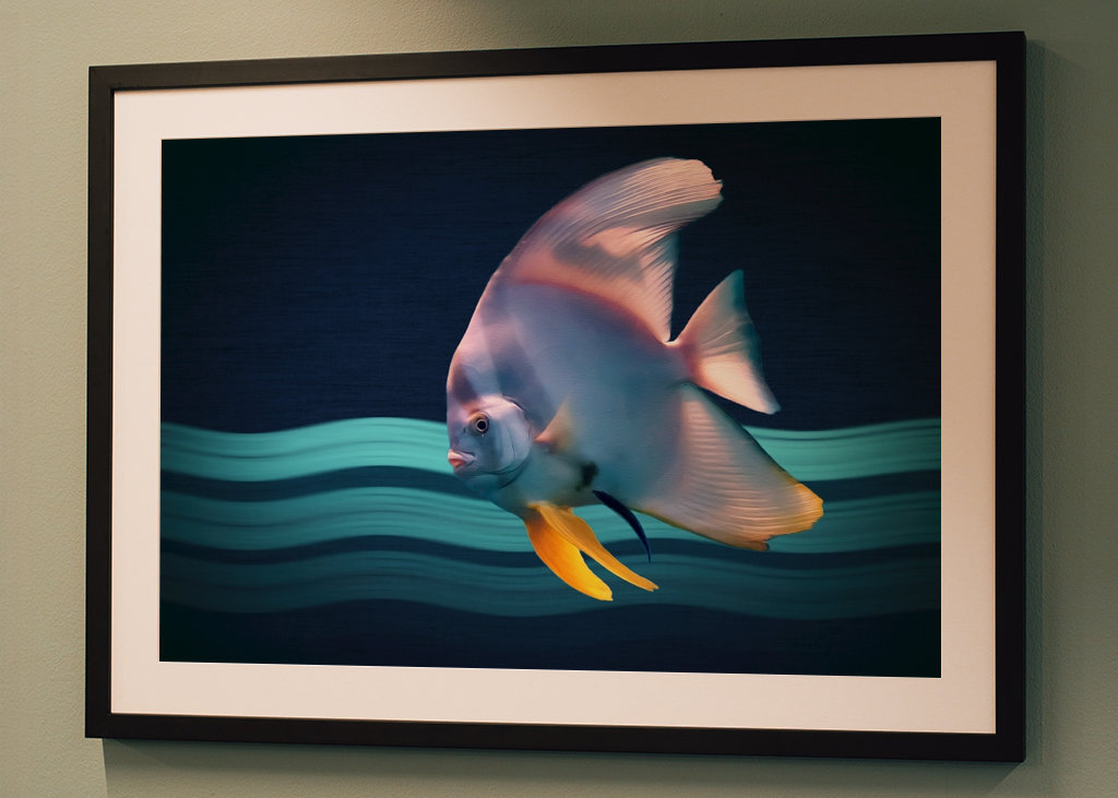 Il Pesce Pipistrello