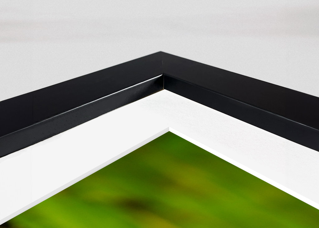 Serpente tra le ninfee