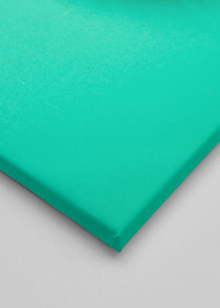 Donut - pink on green