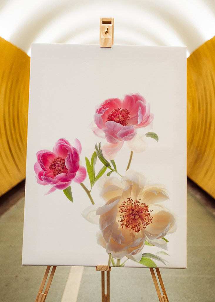 Flower-triptych CENTRE