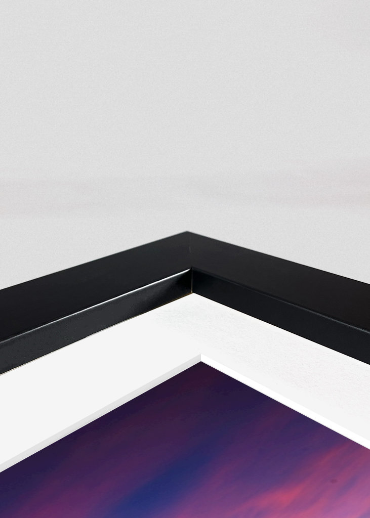 Coucher de soleil dans le sanctuaire, crâne