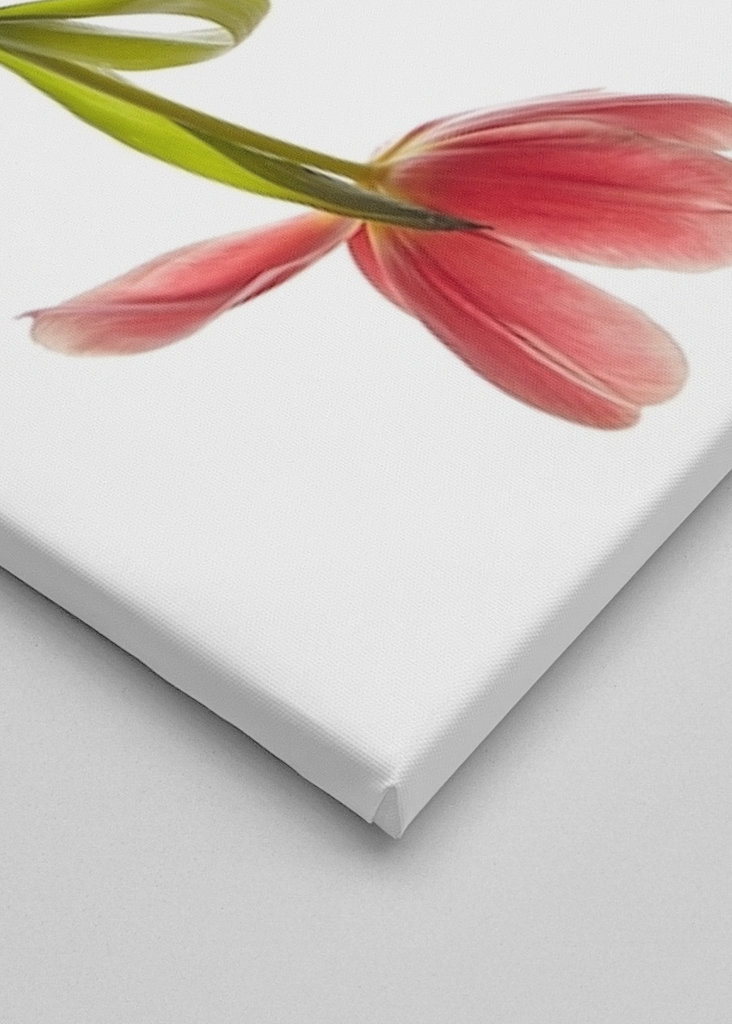 Flower-triptychon RECHTE Seite