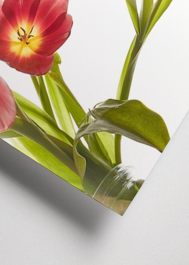 Flower-triptychon RECHTE Seite