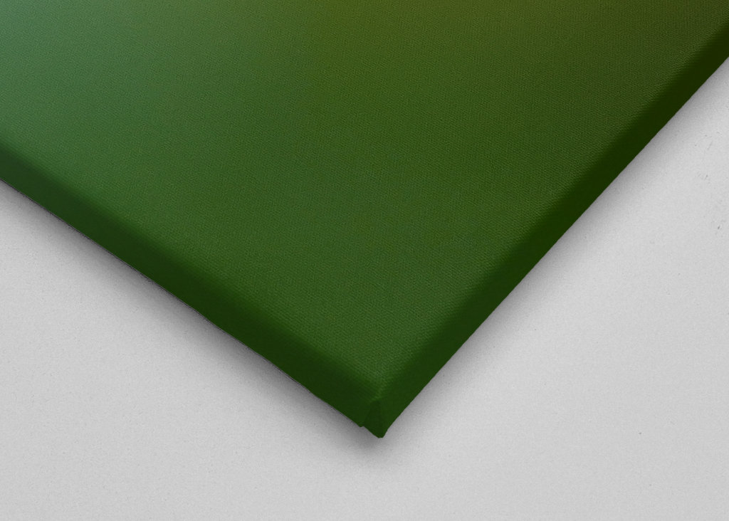 Gul mariehøne på blade