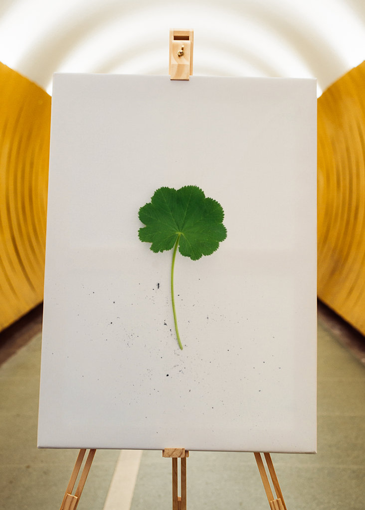 Kontryhel s mravencem