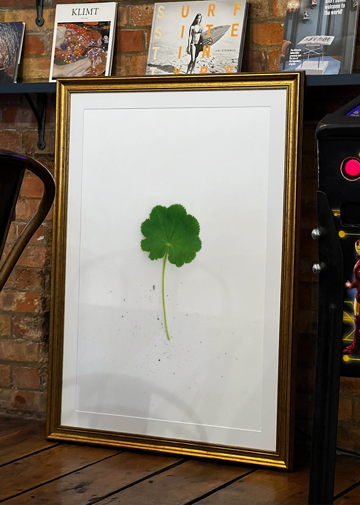 Kontryhel s mravencem